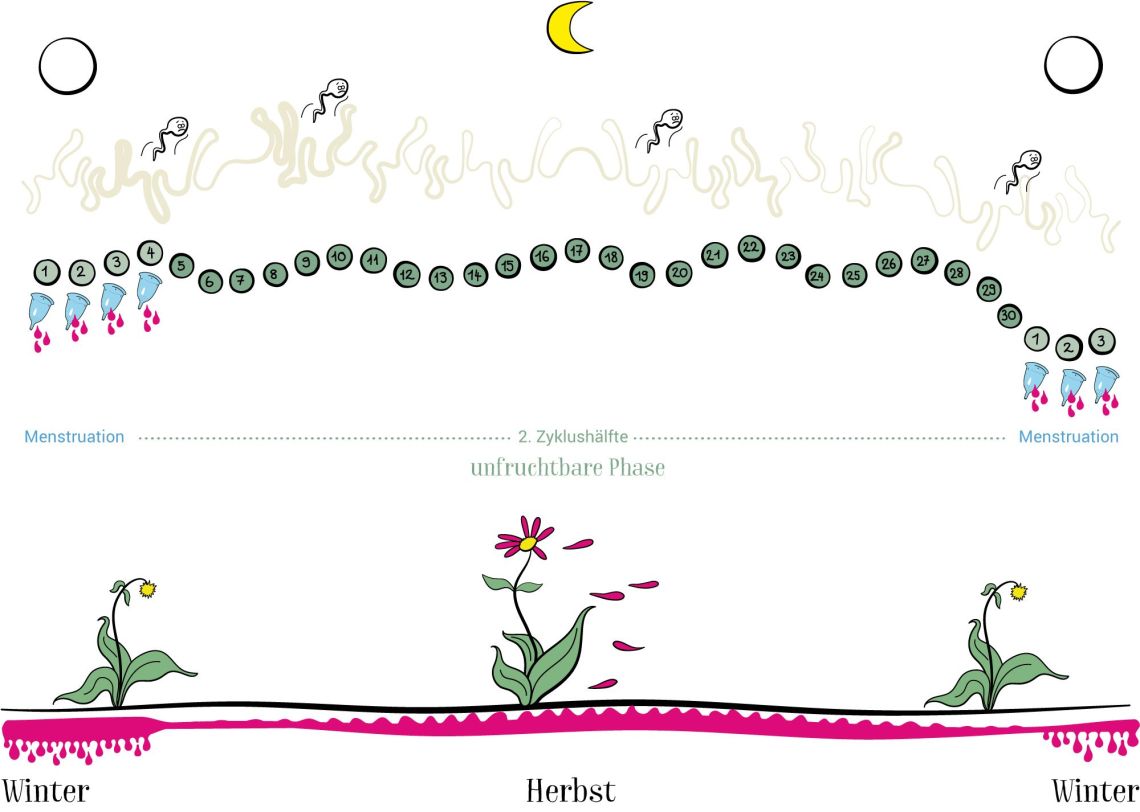 180508-ladyplanet-illustration-neu2018-hormonellbeeinflusster-zyklus180508-ladyplanet-illustration-neu2018-hormonellbeeinflusster-zyklus.jpg