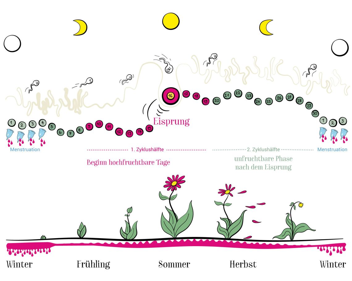 180508-ladyplanet-illustration-neu2018-normaler-zyklus180508-ladyplanet-illustration-neu2018-normaler-zyklus.jpg