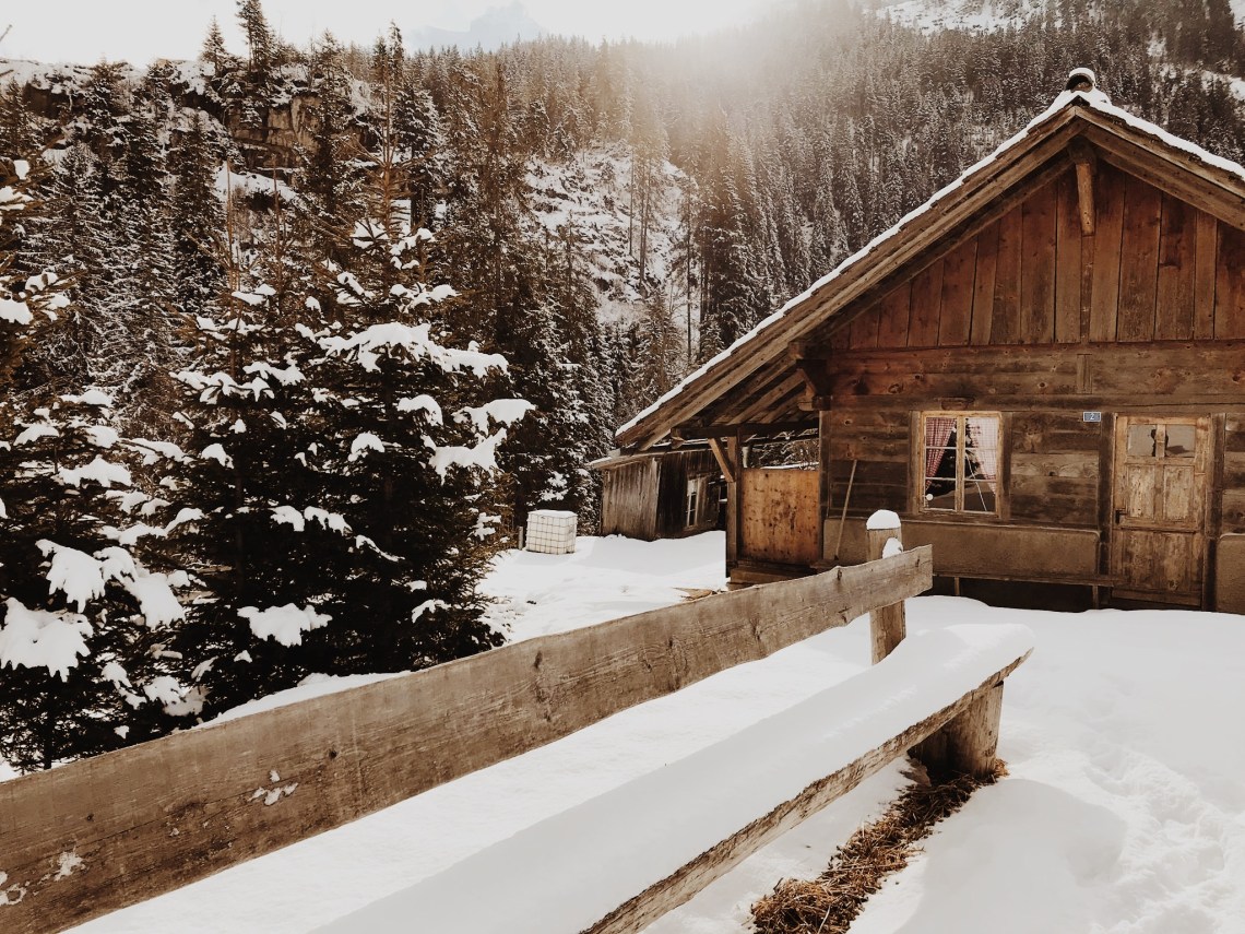 Processed with VSCO with m5 preset