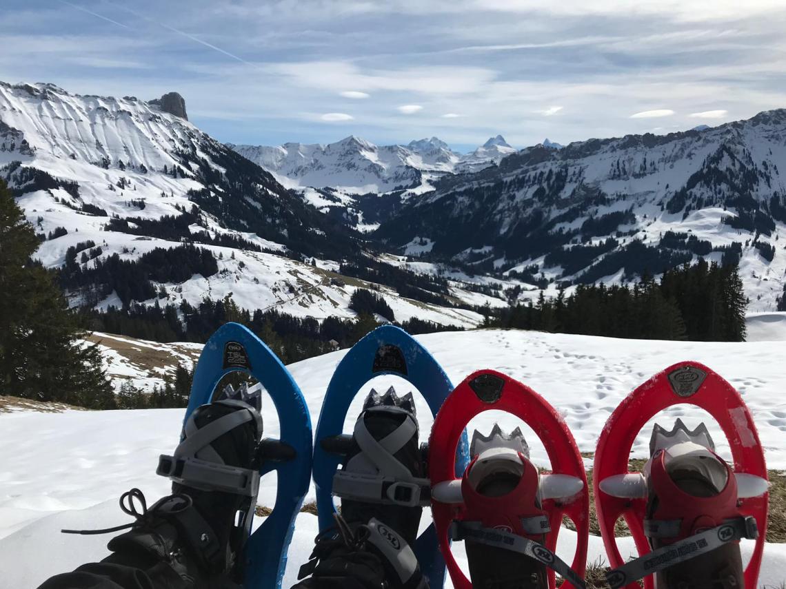 87882c65-bd80-4548-94c6-b83b812a6037